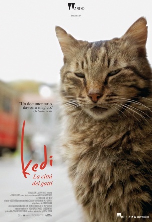 Locandina italiana Kedi - La città dei gatti 